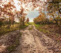 Notweg über fremdes Grundstück 