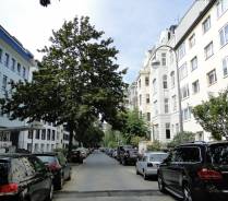 Rückstauschaden durch Wurzeleinwuchs 