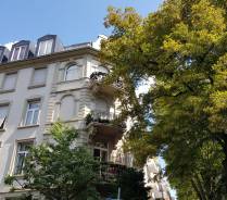 Entfernung von Tapeten durch Mieter: Schaden