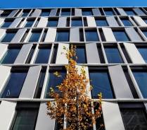 Einheitlicher Einbau von Rauchwarnmeldern in WEG