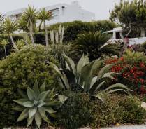 Gartenpflege und Gartengestaltung durch den Mieter